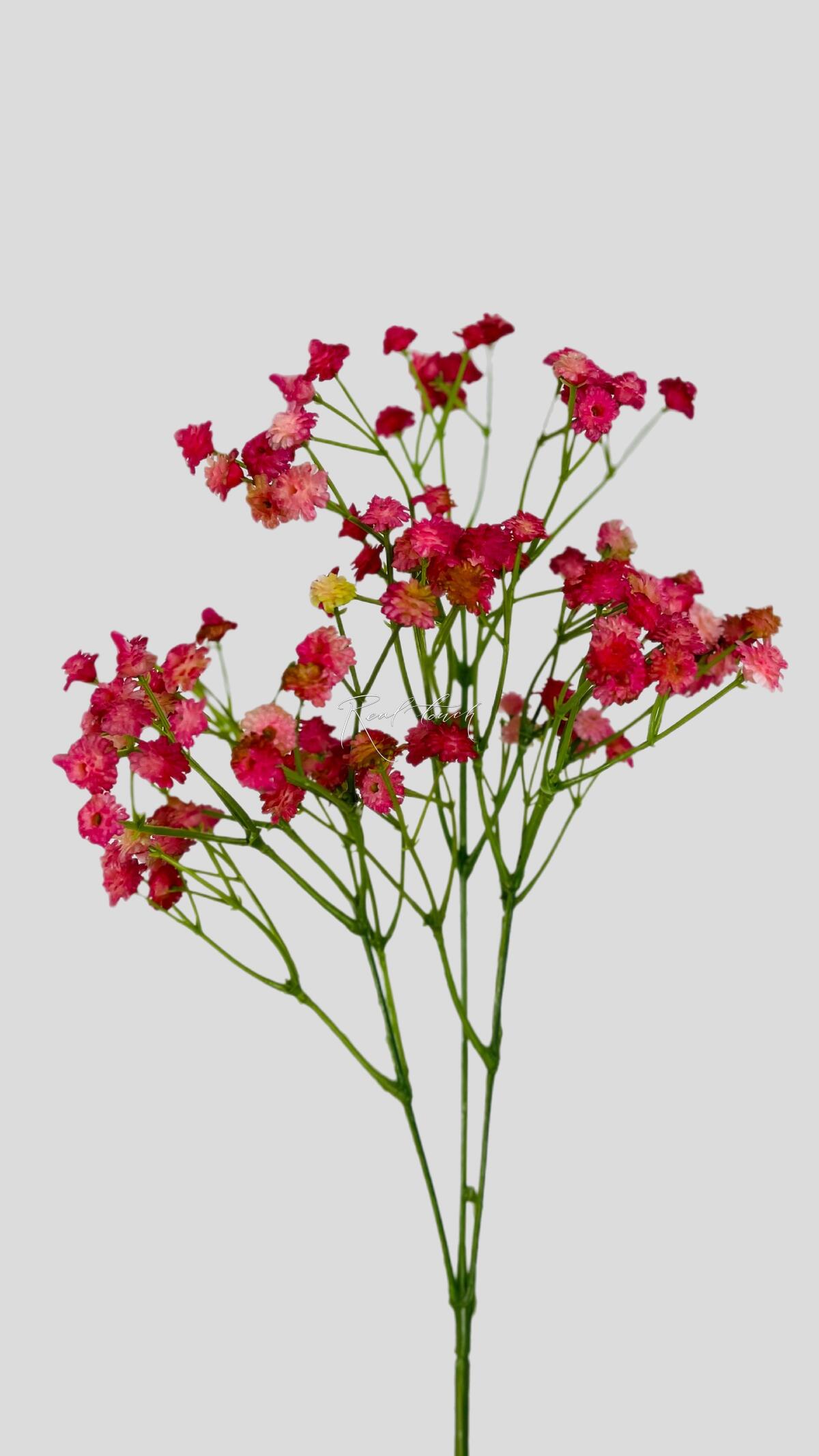 Real Touch Artficial flowers and plants